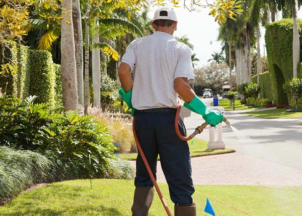 About Saint Stephen MN Pest Control Pros